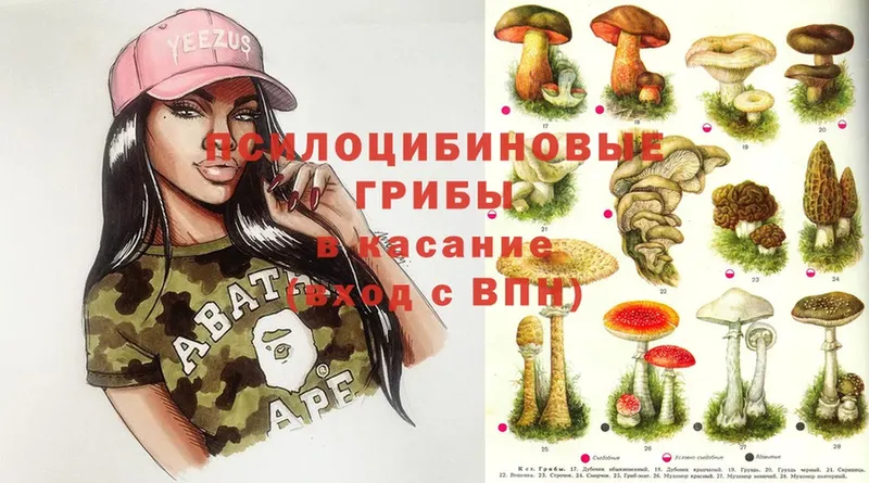 купить наркотик  Карабаш  Псилоцибиновые грибы Magic Shrooms 